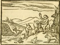 An illustration from Fabulae Aesopi graecaè et latinè, nunc denuo selectae (1672)