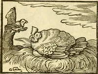 An illustration from Fabulae Aesopi graecaè et latinè, nunc denuo selectae (1672)