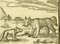 An illustration from Fabulae Aesopi graecaè et latinè, nunc denuo selectae (1672)
