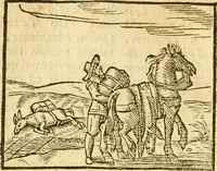 An illustration from Fabulae Aesopi graecaè et latinè, nunc denuo selectae (1672)