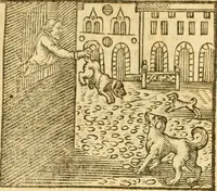 An illustration from Fabulae Aesopi graecaè et latinè, nunc denuo selectae (1672)