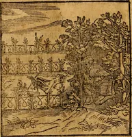 An illustration from Fabulae c. Aesopicae (1590)