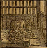 An illustration from Fabulae c. Aesopicae (1590)