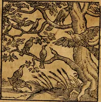 An illustration from Fabulae c. Aesopicae (1590)