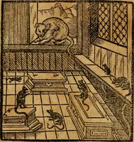 An illustration from Fabulae c. Aesopicae (1590)
