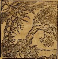 An illustration from Fabulae c. Aesopicae (1590)