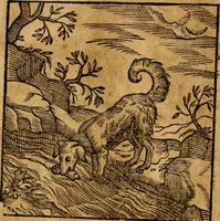 An illustration from Fabulae c. Aesopicae (1590)