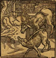 Picture 83 of 151 from Fabulae c. Aesopicae (1590), leaf 143