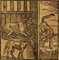 An illustration from Fabulae c. Aesopicae (1590)