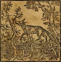 An illustration from Fabulae c. Aesopicae (1590)
