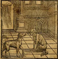 An illustration from Fabulae c. Aesopicae (1590)