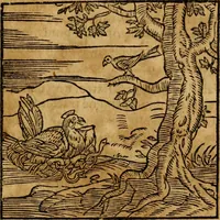 An illustration from Fabulae c. Aesopicae (1590)