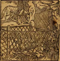 An illustration from Fabulae c. Aesopicae (1590)
