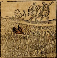 An illustration from Fabulae c. Aesopicae (1590)