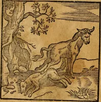 An illustration from Fabulae c. Aesopicae (1590)