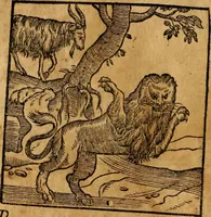 An illustration from Fabulae c. Aesopicae (1590)