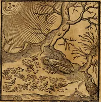 An illustration from Fabulae c. Aesopicae (1590)