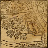 An illustration from Fabulae c. Aesopicae (1590)