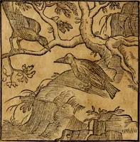 An illustration from Fabulae c. Aesopicae (1590)