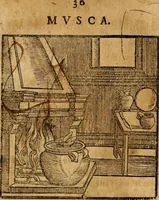 An illustration from Fabulae c. Aesopicae (1590)