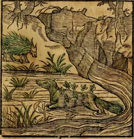 An illustration from Fabulae c. Aesopicae (1590)