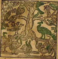 An illustration from Fabulae c. Aesopicae (1590)