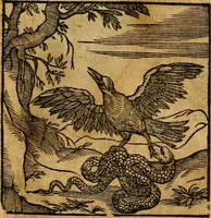 An illustration from Fabulae c. Aesopicae (1590)