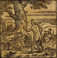 An illustration from Fabulae c. Aesopicae (1590)