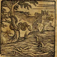 An illustration from Fabulae c. Aesopicae (1590)