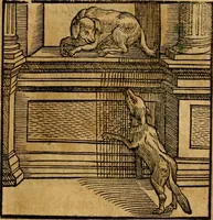 An illustration from Fabulae c. Aesopicae (1590)