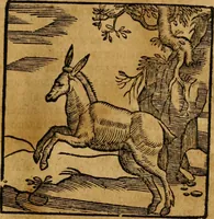 An illustration from Fabulae c. Aesopicae (1590)