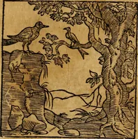 An illustration from Fabulae c. Aesopicae (1590)