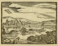 An illustration from Fabulæ Æsopi Graecè & Latinè, nunc denuo selectæ : eæ item, quas Avienus carmine expressit, accedit ranarum et murium pugna, Homero olim adscripta cum ... figuris .. (1660)