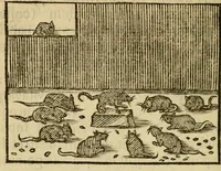 An illustration from Fabulæ Æsopi Graecè & Latinè, nunc denuo selectæ : eæ item, quas Avienus carmine expressit, accedit ranarum et murium pugna, Homero olim adscripta cum ... figuris .. (1660)