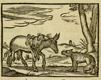 An illustration from Fabulæ Æsopi Graecè & Latinè, nunc denuo selectæ : eæ item, quas Avienus carmine expressit, accedit ranarum et murium pugna, Homero olim adscripta cum ... figuris .. (1660)
