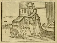 An illustration from Fabulæ Æsopi Graecè & Latinè, nunc denuo selectæ : eæ item, quas Avienus carmine expressit, accedit ranarum et murium pugna, Homero olim adscripta cum ... figuris .. (1660)