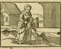 Picture 9 of 45 from Fabulæ Æsopi Graecè & Latinè, nunc denuo selectæ : eæ item, quas Avienus carmine expressit, accedit ranarum et murium pugna, Homero olim adscripta cum ... figuris .. (1660), leaf 23