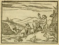 Picture 11 of 45 from Fabulæ Æsopi Graecè & Latinè, nunc denuo selectæ : eæ item, quas Avienus carmine expressit, accedit ranarum et murium pugna, Homero olim adscripta cum ... figuris .. (1660), leaf 27