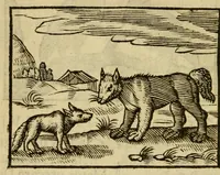 An illustration from Fabulæ Æsopi Graecè & Latinè, nunc denuo selectæ : eæ item, quas Avienus carmine expressit, accedit ranarum et murium pugna, Homero olim adscripta cum ... figuris .. (1660)