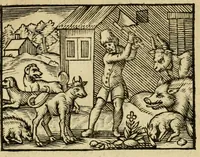 An illustration from Fabulæ Æsopi Graecè & Latinè, nunc denuo selectæ : eæ item, quas Avienus carmine expressit, accedit ranarum et murium pugna, Homero olim adscripta cum ... figuris .. (1660)