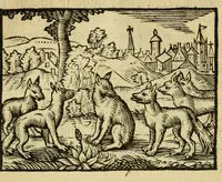 An illustration from Fabulæ Æsopi Graecè & Latinè, nunc denuo selectæ : eæ item, quas Avienus carmine expressit, accedit ranarum et murium pugna, Homero olim adscripta cum ... figuris .. (1660)