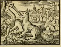An illustration from Fabulæ Æsopi Graecè & Latinè, nunc denuo selectæ : eæ item, quas Avienus carmine expressit, accedit ranarum et murium pugna, Homero olim adscripta cum ... figuris .. (1660)