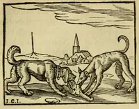 Picture 31 of 45 from Fabulæ Æsopi Graecè & Latinè, nunc denuo selectæ : eæ item, quas Avienus carmine expressit, accedit ranarum et murium pugna, Homero olim adscripta cum ... figuris .. (1660), leaf 65