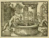 An illustration from Fabulæ Æsopi Graecè & Latinè, nunc denuo selectæ : eæ item, quas Avienus carmine expressit, accedit ranarum et murium pugna, Homero olim adscripta cum ... figuris .. (1660)