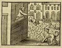 An illustration from Fabulæ Æsopi Graecè & Latinè, nunc denuo selectæ : eæ item, quas Avienus carmine expressit, accedit ranarum et murium pugna, Homero olim adscripta cum ... figuris .. (1660)