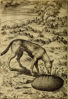 Picture 49 of 101 from Fabvlae centvm ex antiqvis avctoribvs delectae et a Gabriele Faerno Cremonensi carminibvs explicatae (1564), leaf 103