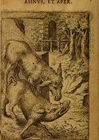 An illustration from Fabvlae centvm ex antiqvis avctoribvs delectae et a Gabriele Faerno Cremonensi carminibvs explicatae (1564)