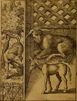Picture 55 of 101 from Fabvlae centvm ex antiqvis avctoribvs delectae et a Gabriele Faerno Cremonensi carminibvs explicatae (1564), leaf 115