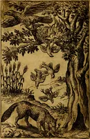 Picture 60 of 101 from Fabvlae centvm ex antiqvis avctoribvs delectae et a Gabriele Faerno Cremonensi carminibvs explicatae (1564), leaf 125