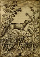 Picture 65 of 101 from Fabvlae centvm ex antiqvis avctoribvs delectae et a Gabriele Faerno Cremonensi carminibvs explicatae (1564), leaf 135